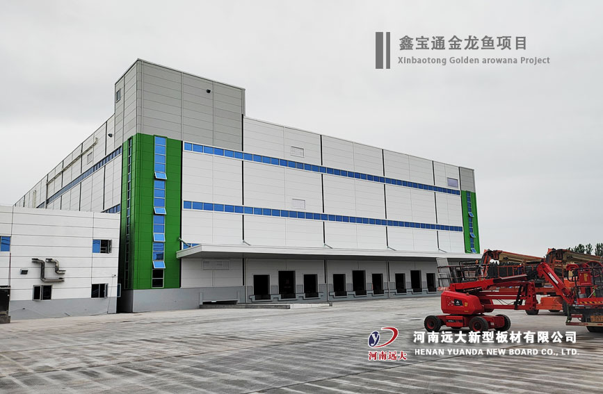 鑫寶通金龍魚項目  